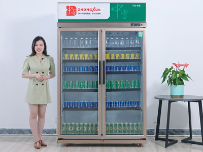 商用冷藏柜产品视频 电商主播展示视频