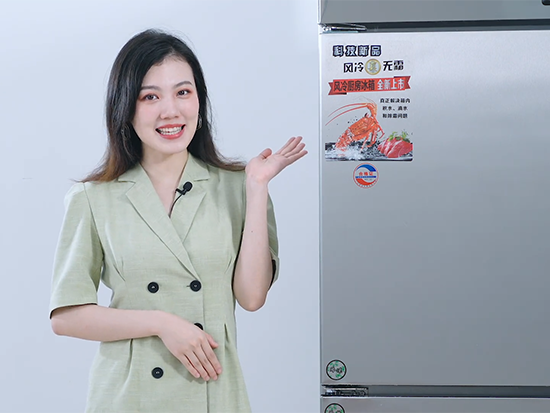 模特展示视频 商用冰箱产品电商视频