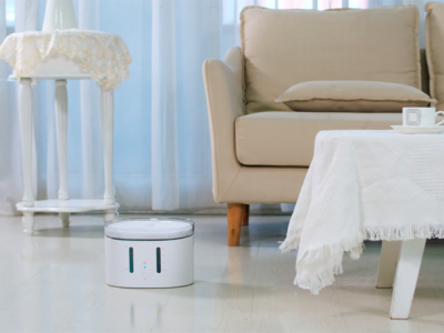 宠物用品视频拍摄