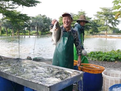 佛山工业视频-企业视频-南联村水产